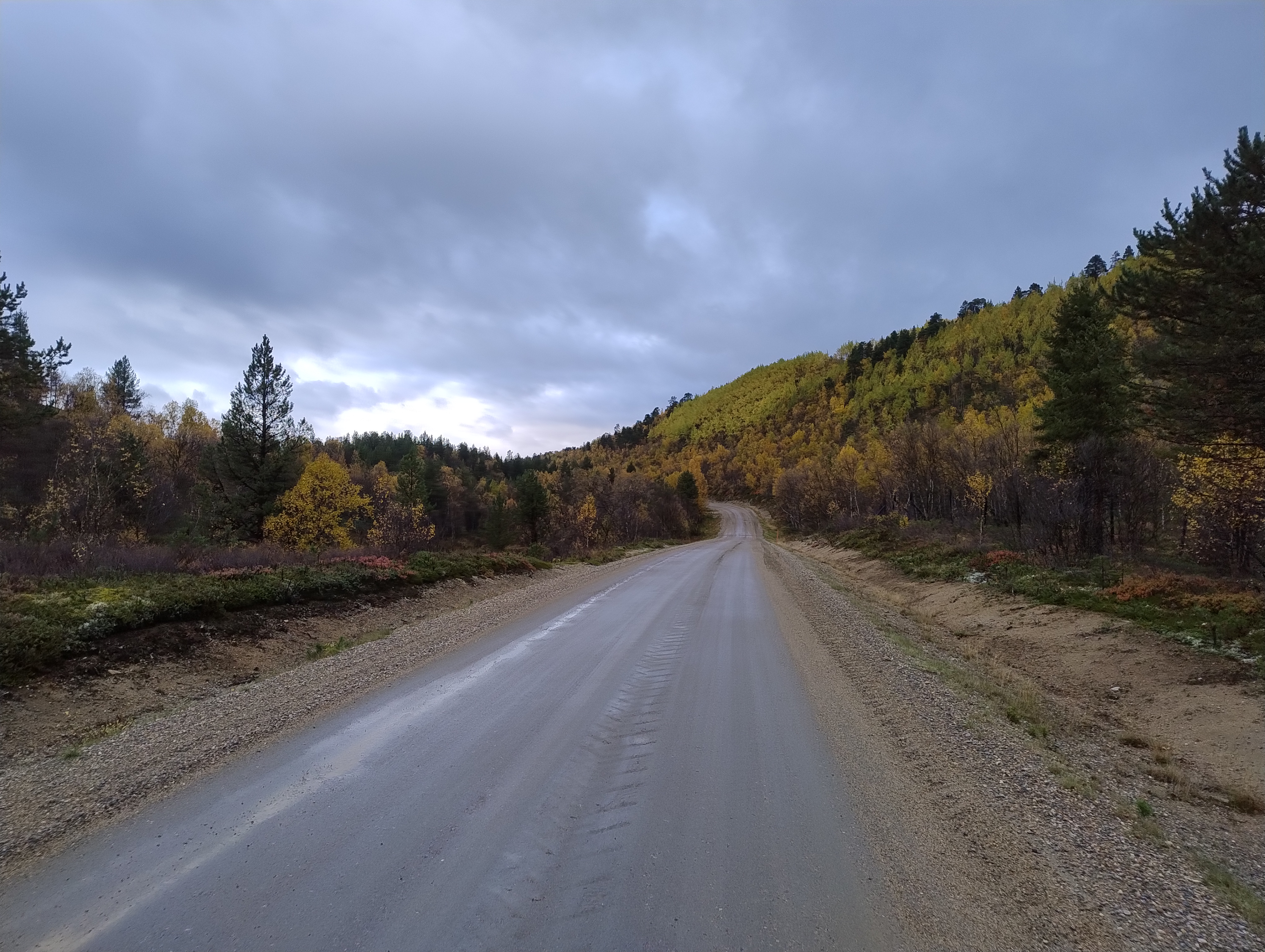 Soratie tuntureiden keskellä, keltaisen värisiä puita