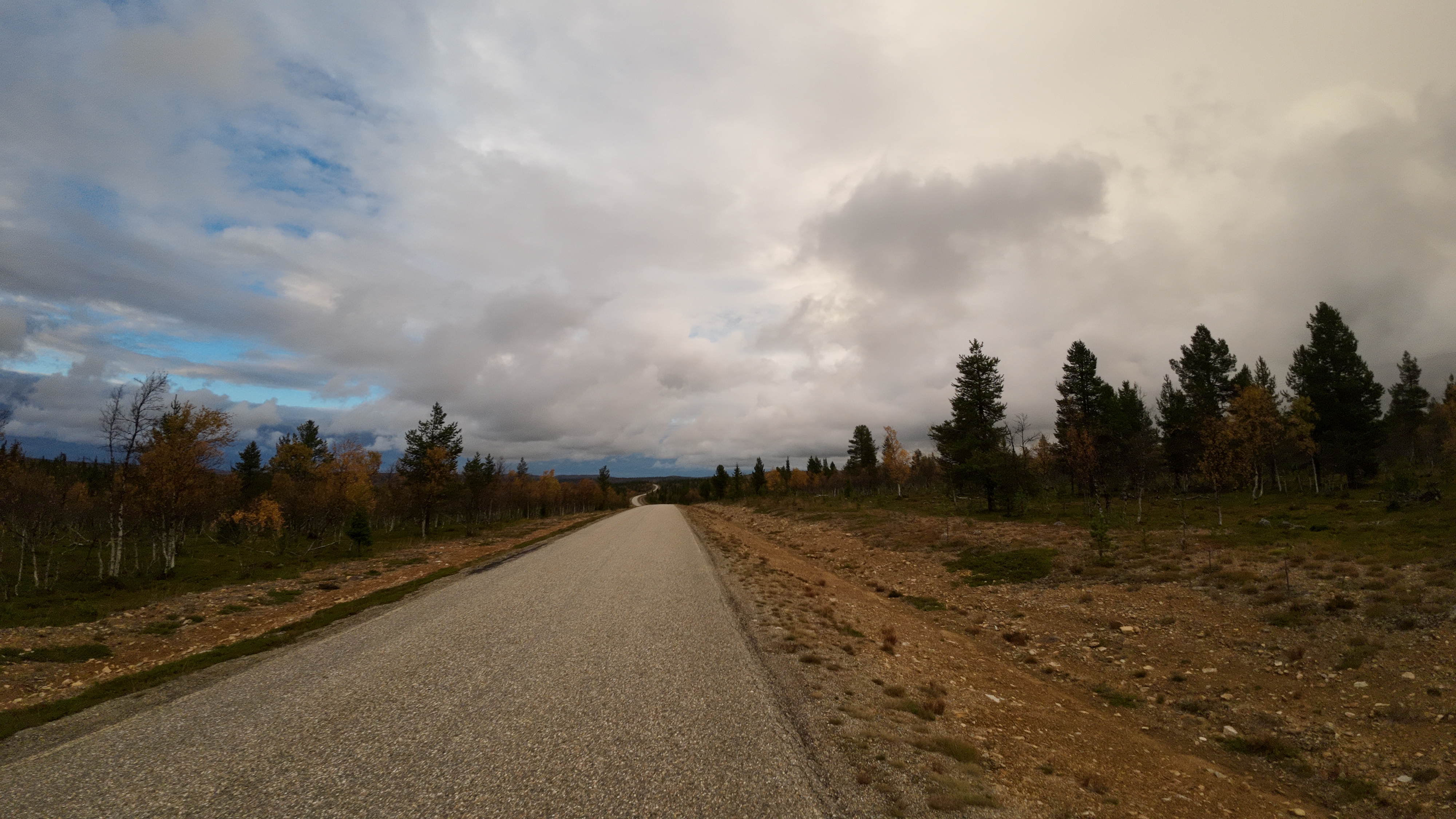 Asfalttitie Pokasta Inariin, ruskan värejä puissa