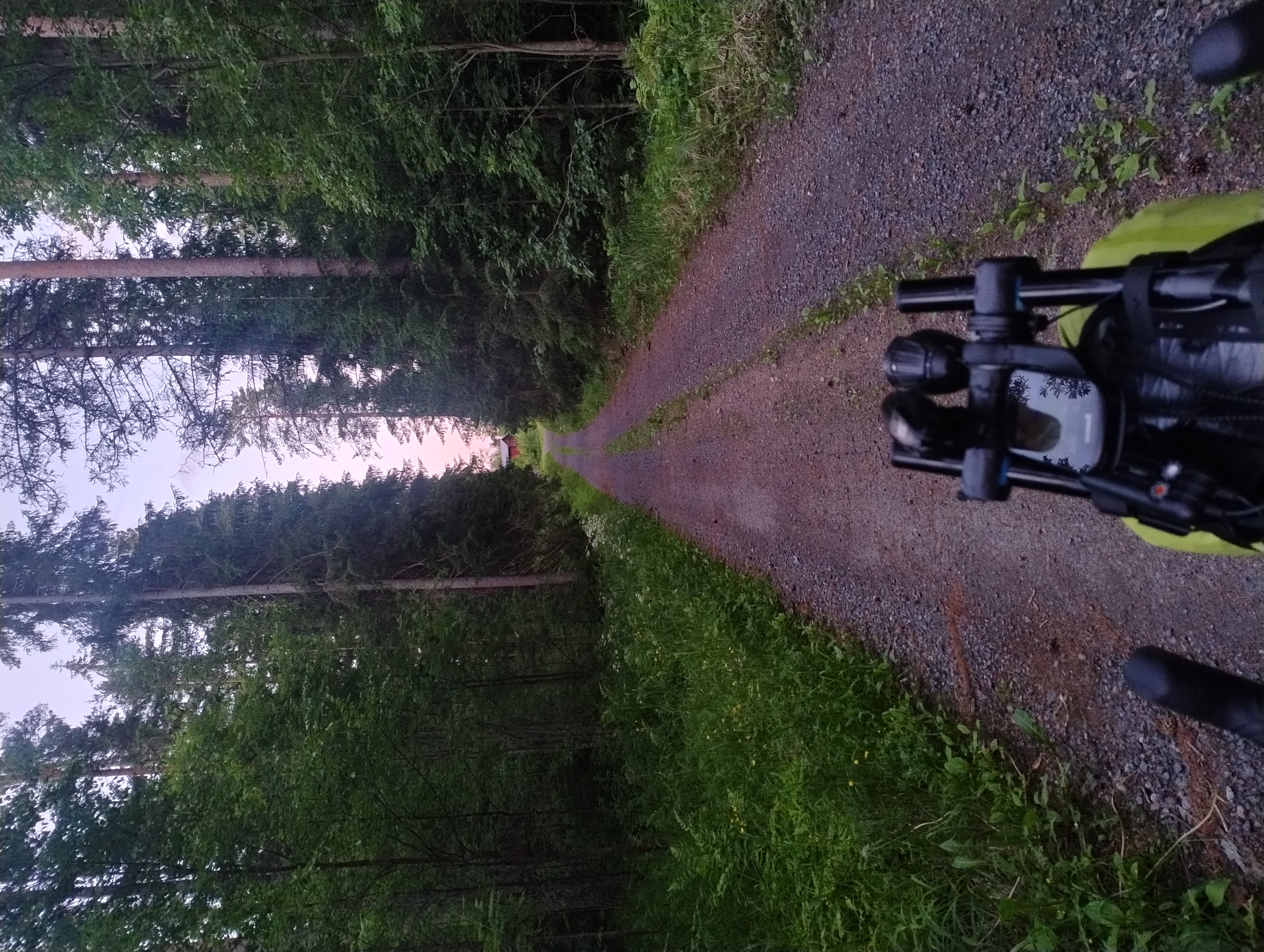 Kapea hiekkatie metsässä, tien päässä näkyy asutusta.
