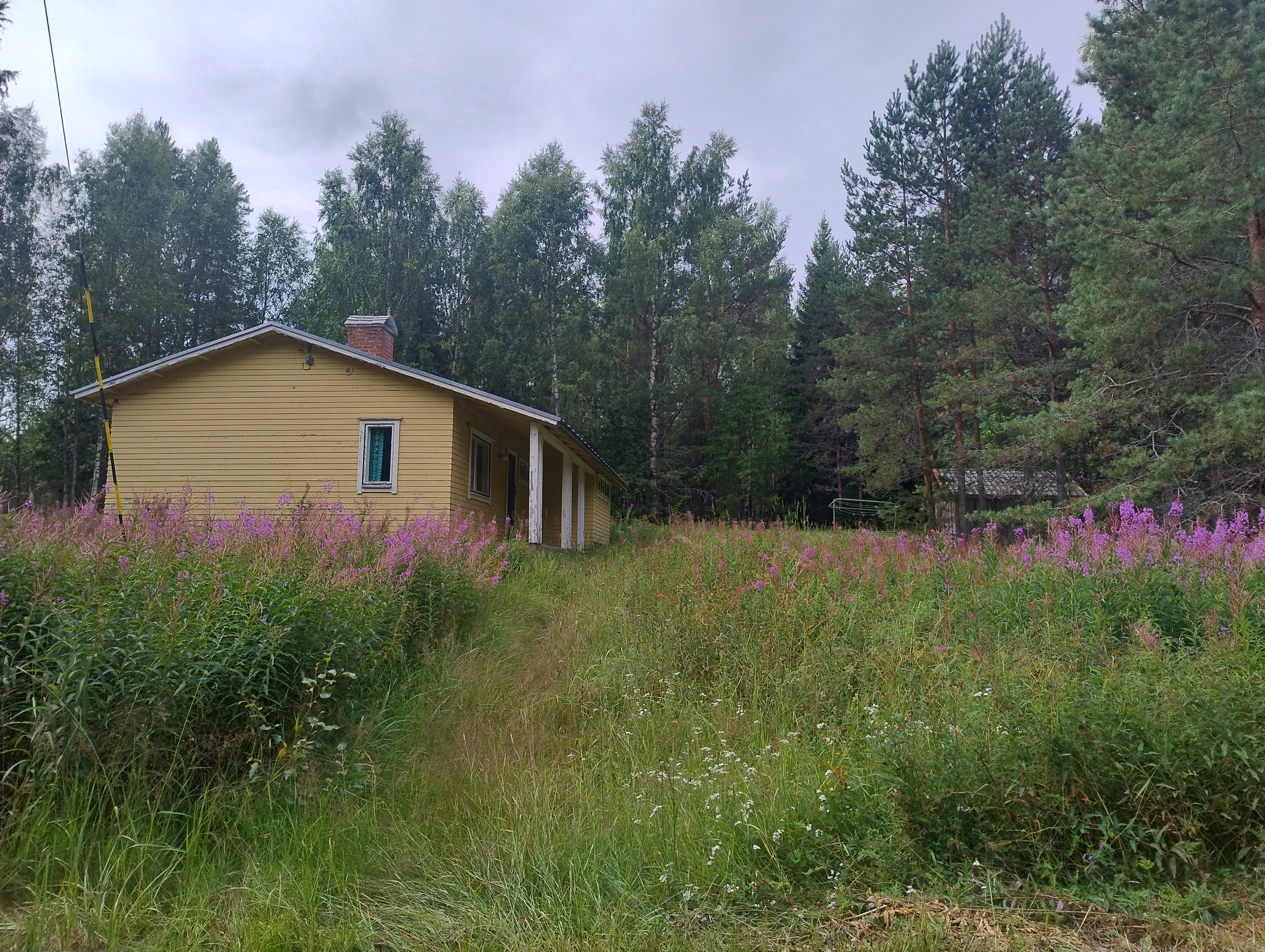 Keltainen talo heinikon keskellä, taustalla pyykkiteline ja piharakennus.