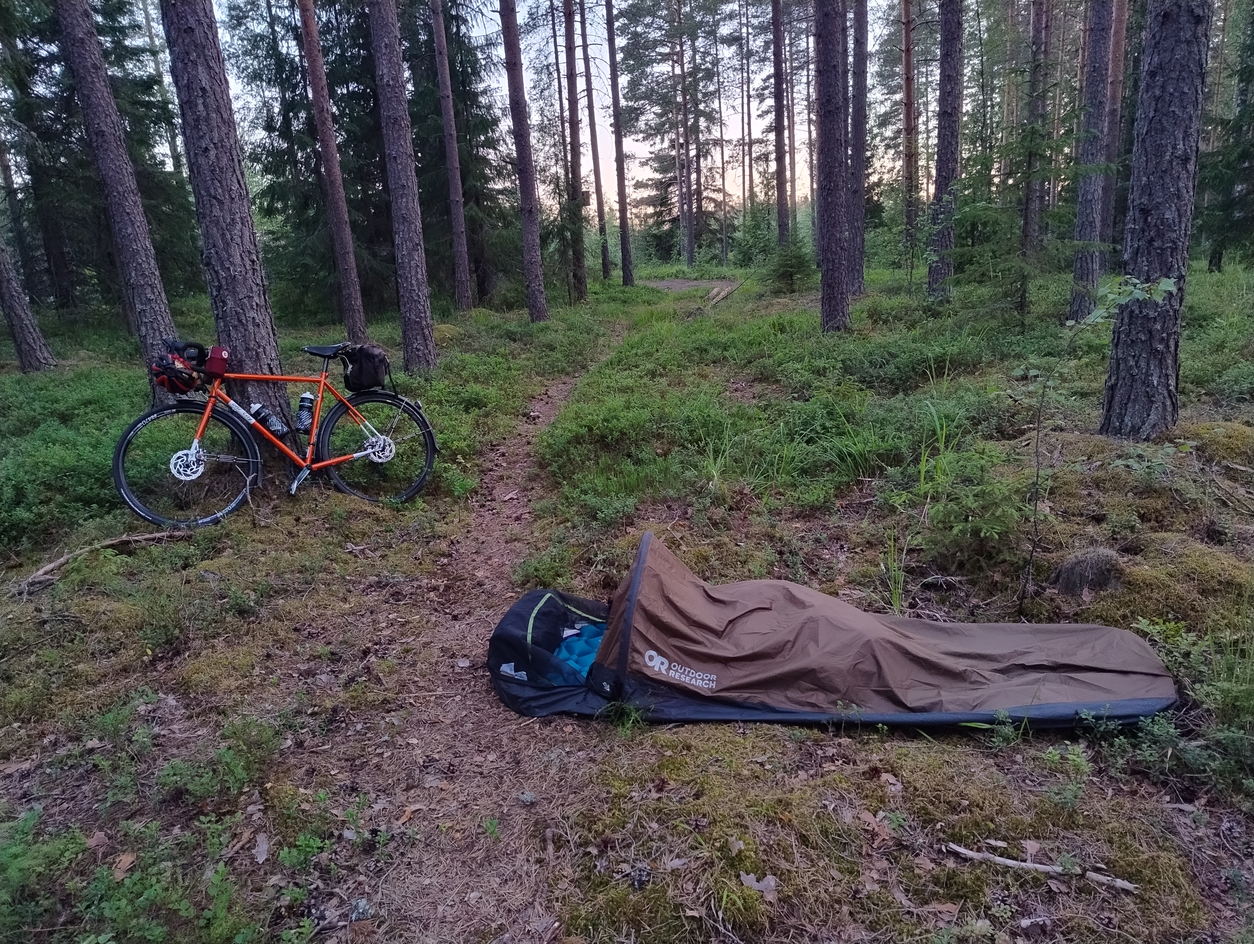 Ruskea bivy-majoite mäntykankaalla polun vieressä, taustalla oranssi polkupyörä nojaa mäntyyn