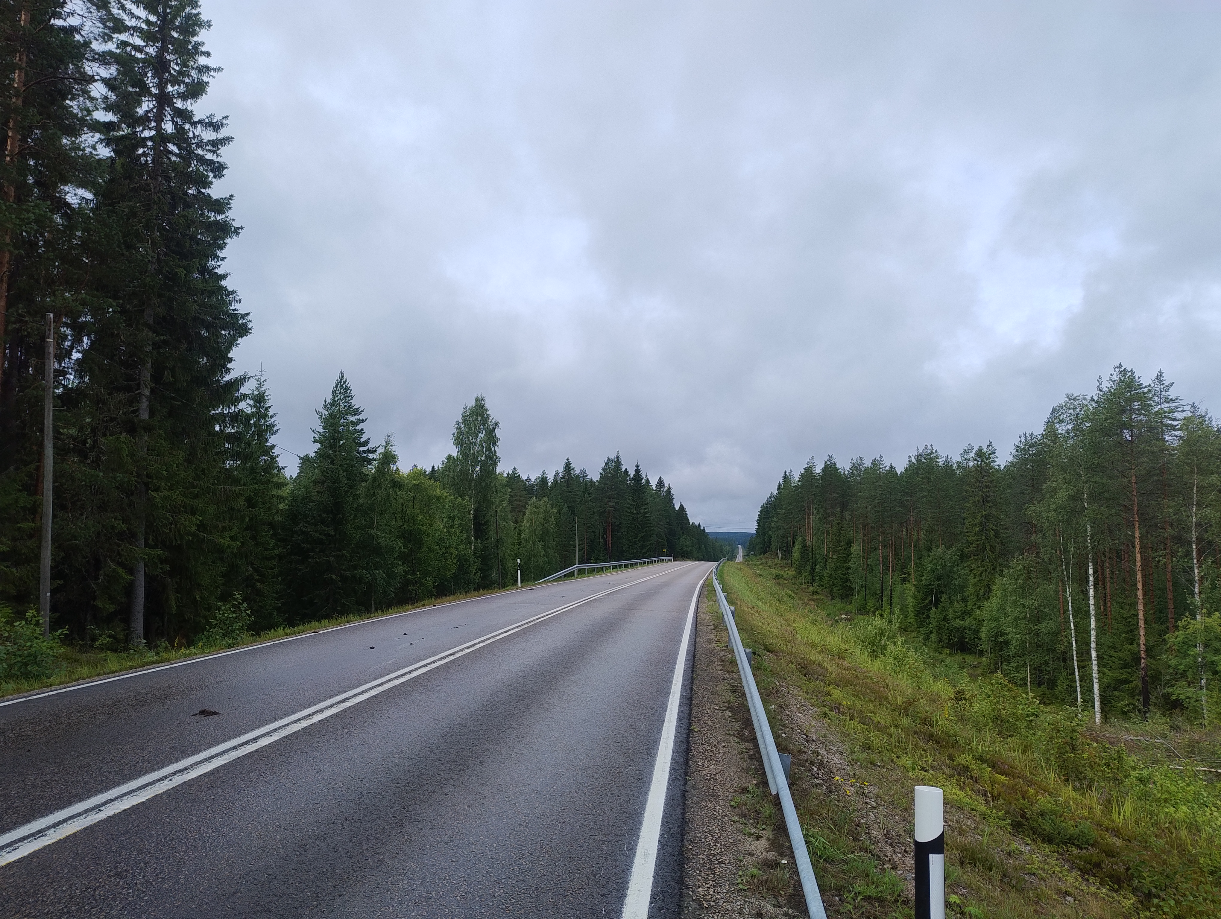 Kumpuileva tie harmaassa säässä, oikealla kaide.