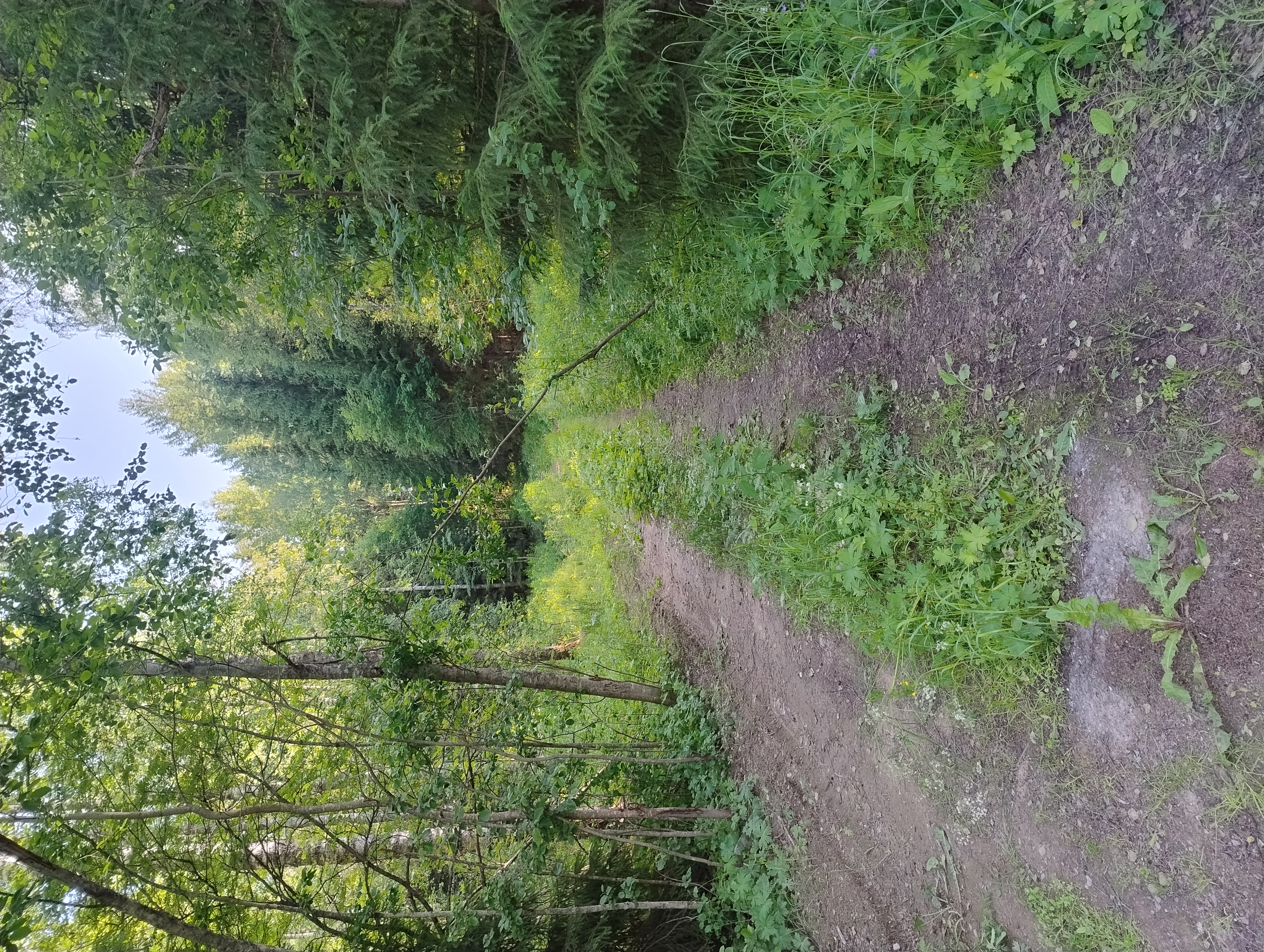 Pihtiputaan toinen haastattelupaikka