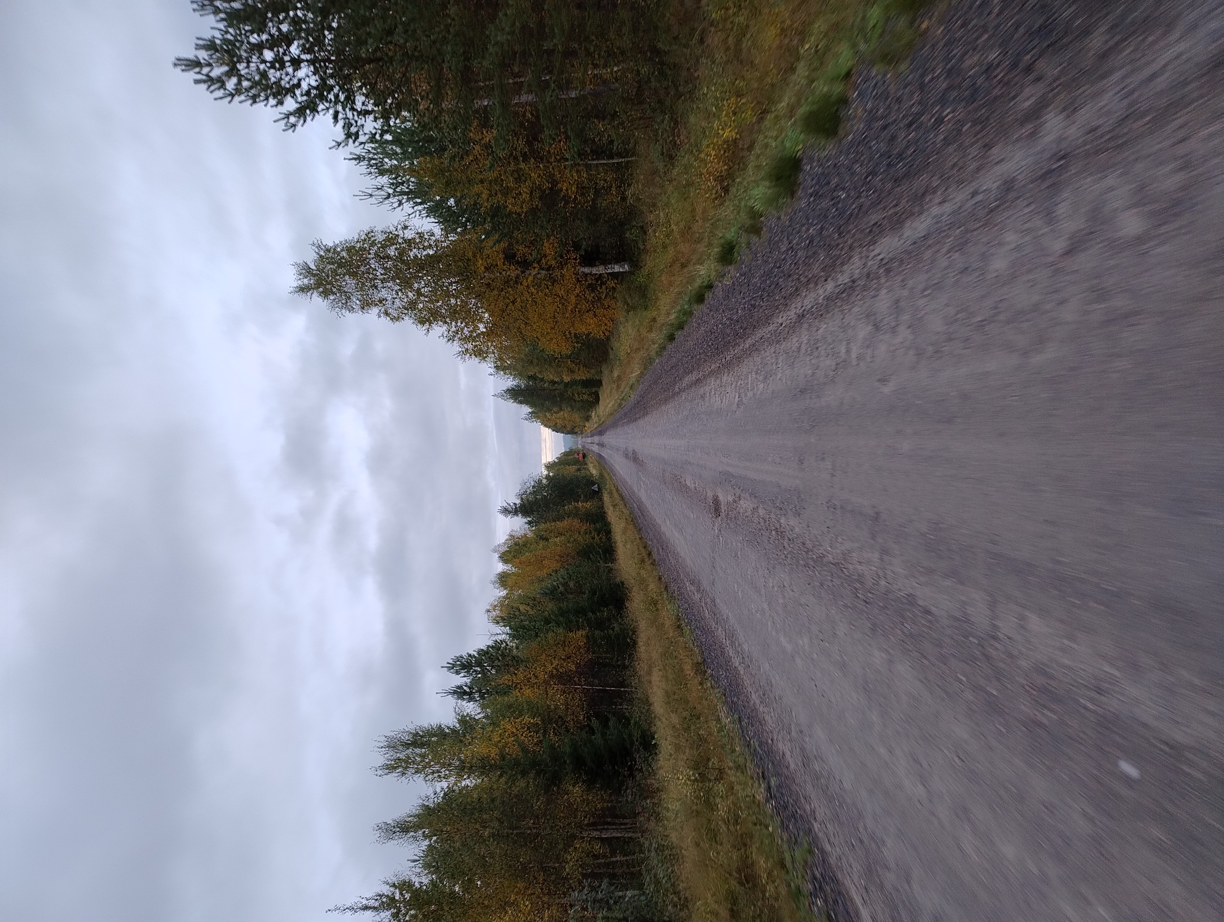 Soratie ruskan värjäämien puiden ympäröimänä