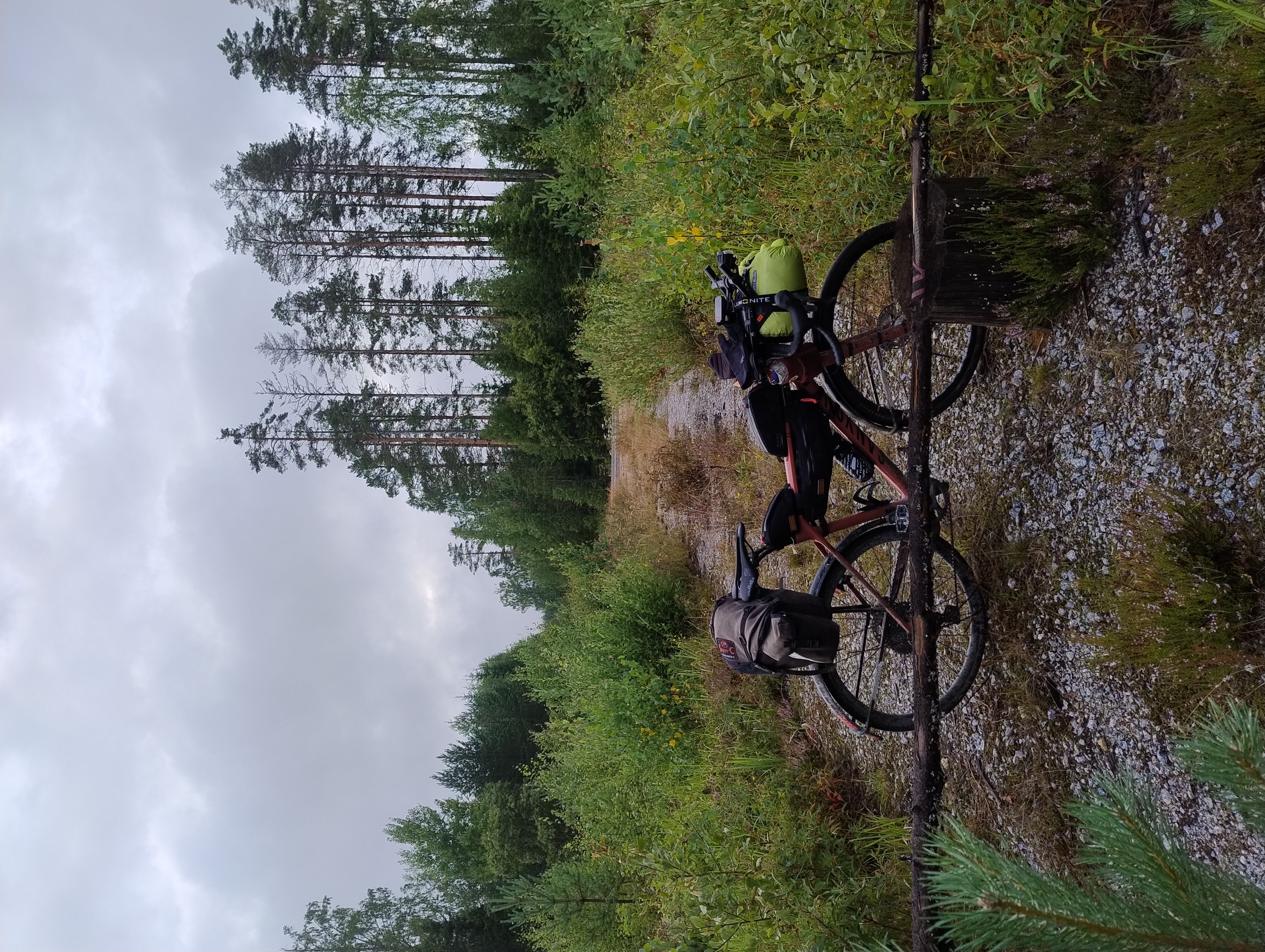 Polkupyörä nojaa pieneen puuriukuun. Taustalla isompi tie.