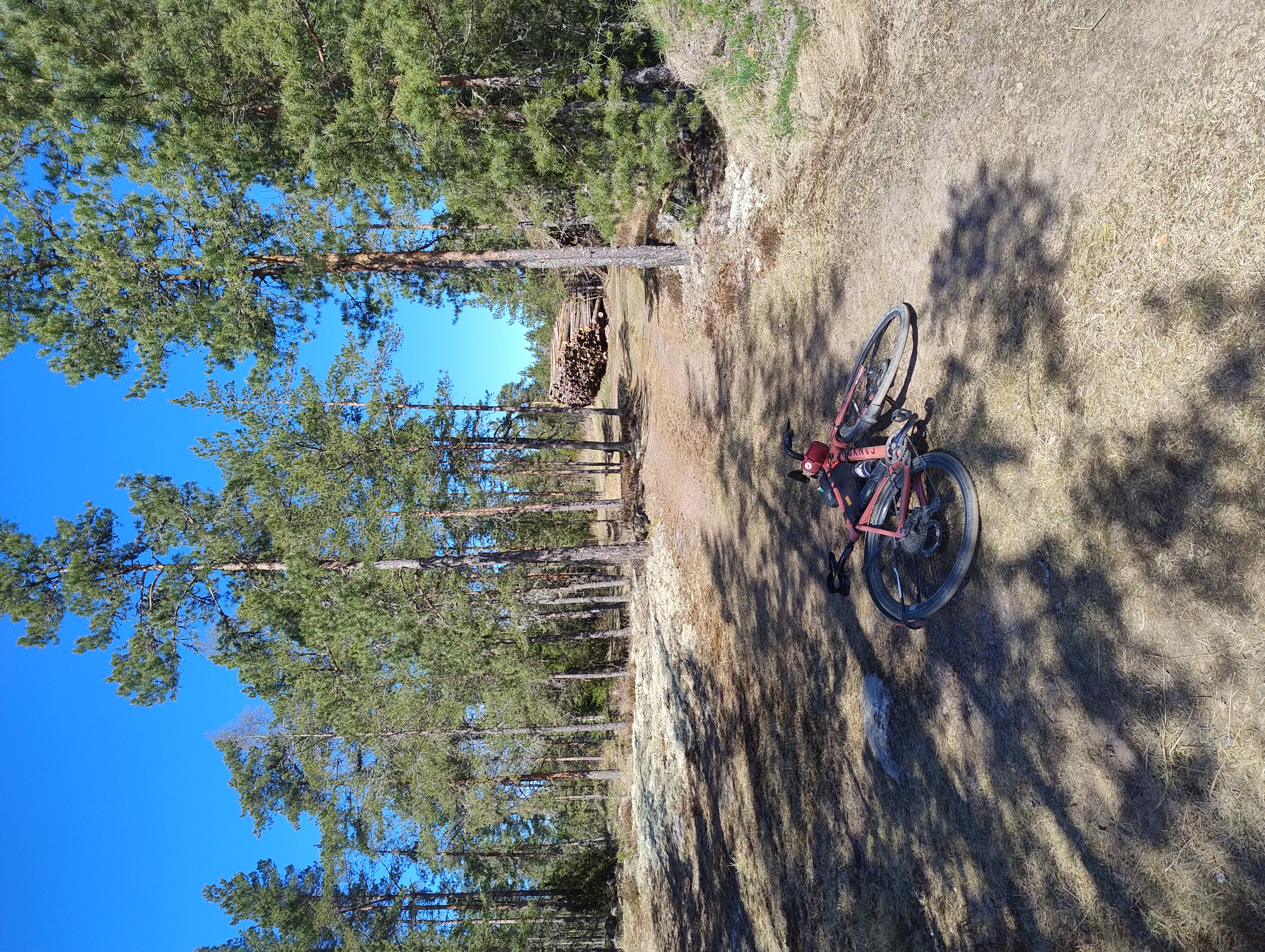Polkupyörä makaa hiekkatiellä, taustalla tukkipinoja