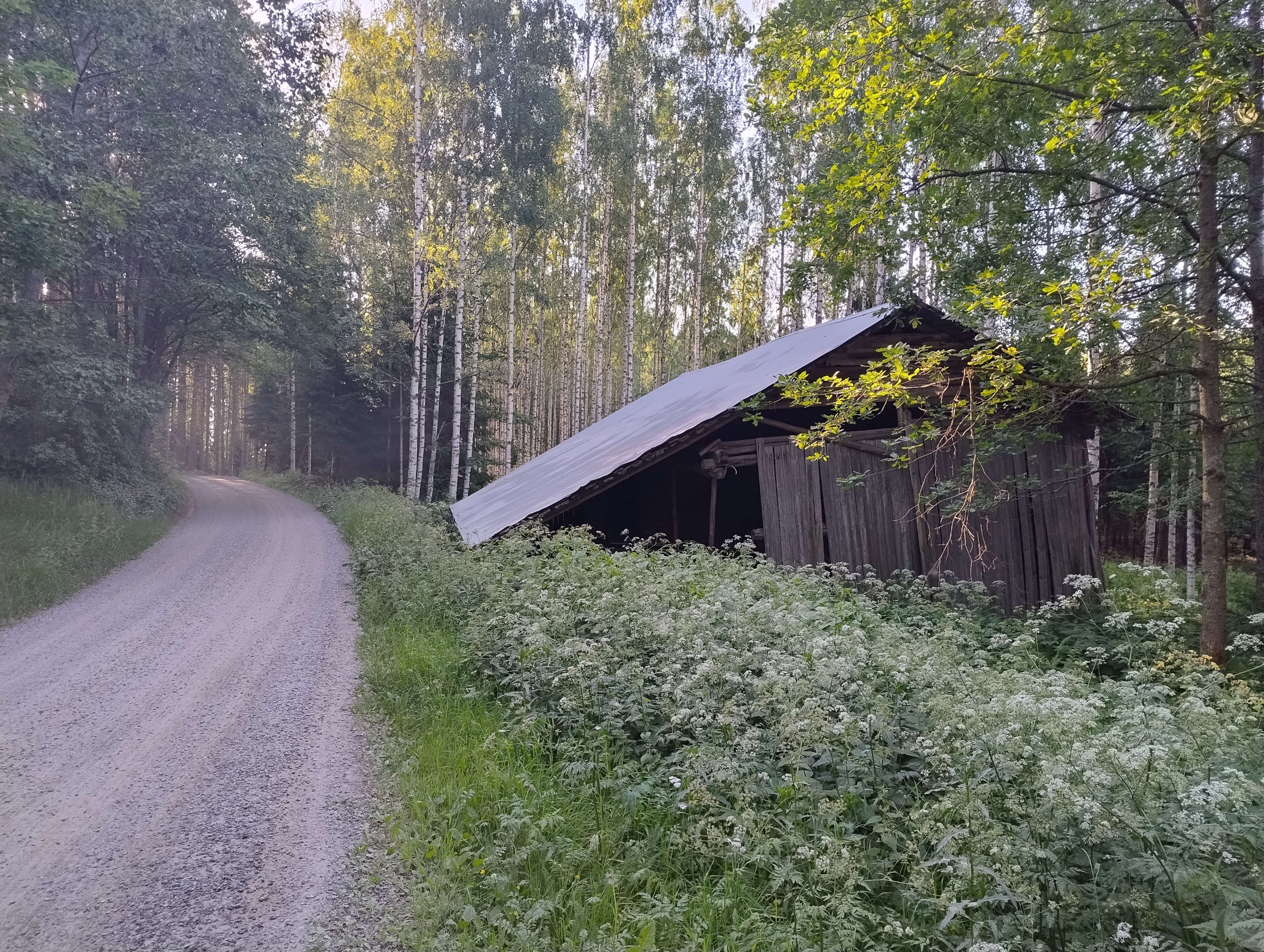 Hiekkatie aamu-usvassa, tien oikealla puolella hädin tuskin kasassa pysyvä lato jonka peltikatto yltää tielle asti